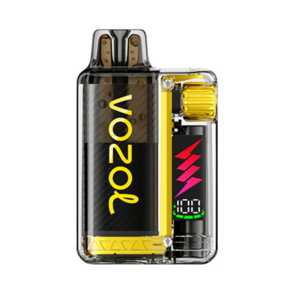 Vozol Vista Plug Mango Ice 5x15000 – Tropischer Mango-Eis-Geschmack für Vaping