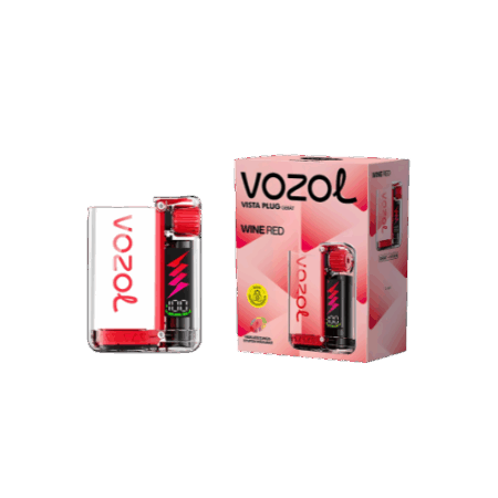 Vozol Vista Geräte 5Stk Wine Red – Wiederaufladbare Pod-Geräte in Rot