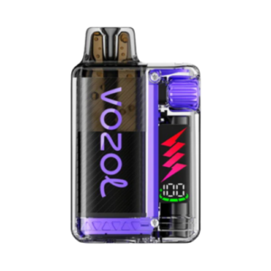 Vozol Vista Plug Blueberry Sour Raspberry 5x15000 – Süß-saurer Beerenmix für Vaping