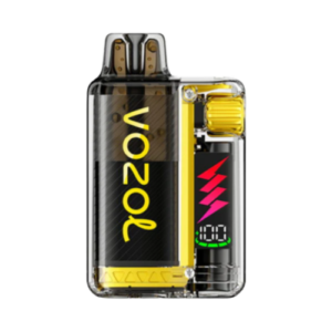 Vozol Vista Plug Mango Ice 5x15000 – Tropischer Mango-Eis-Geschmack für Vaping