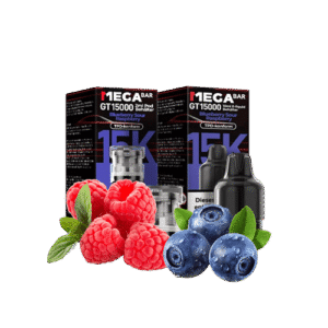 MegaBar Blueberry Sour Raspberry GT15000 5x12ml – Fruchtiger Vape mit Blaubeere & saurer Himbeere für bis zu 15.000 Züge