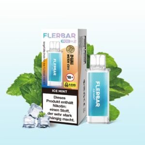 Flerbar Pods Ice Mint 10x2er –