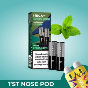 megabar snos2000 fresh mint 10x2x2ml pods minze frisch vape